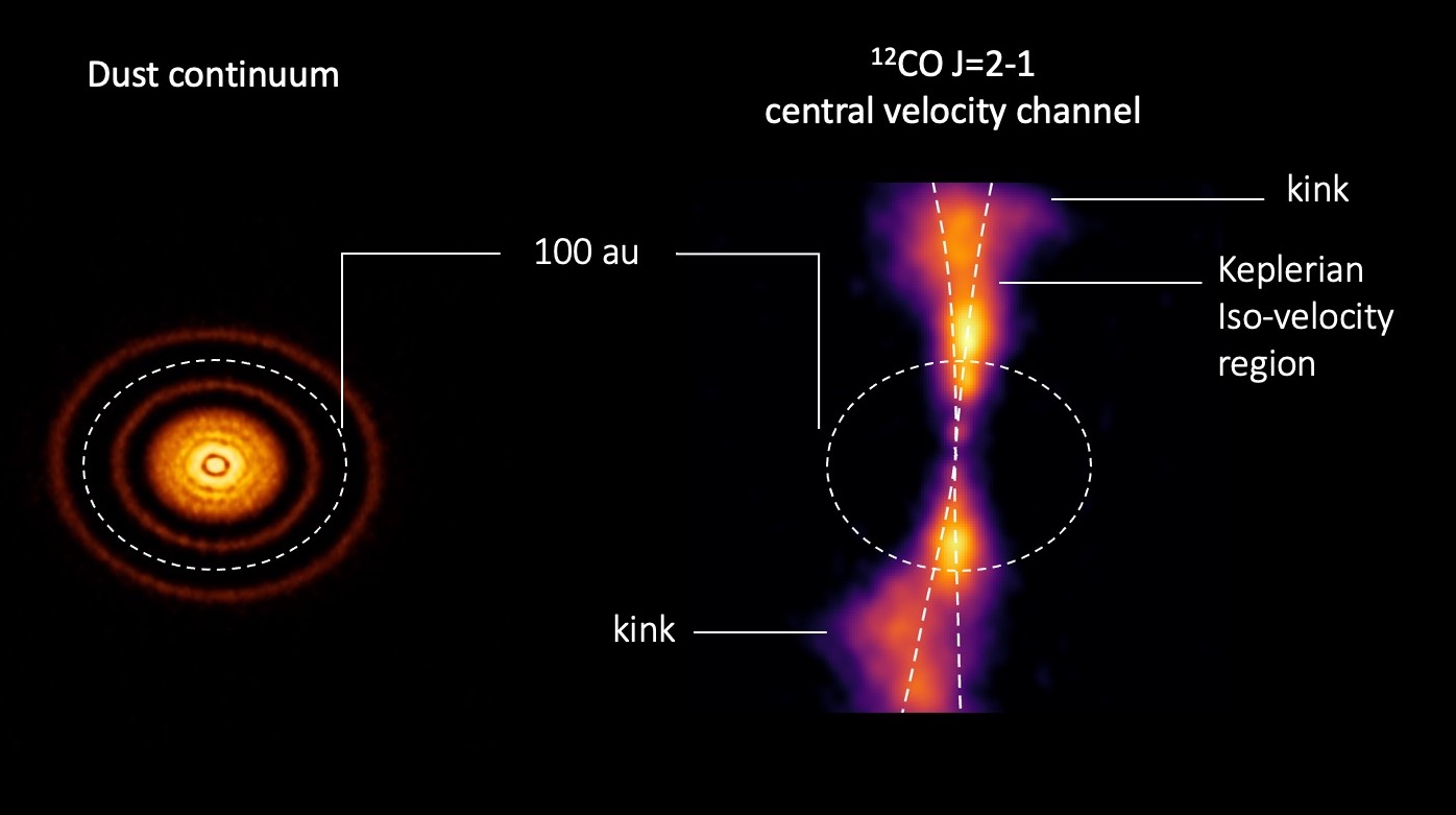 Research Image 1