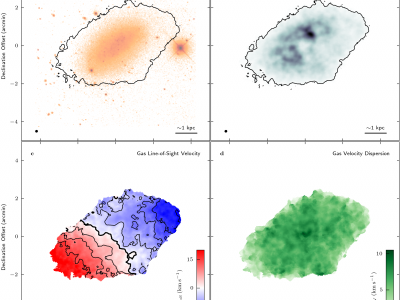 Gas dynamics in dwarf galaxies