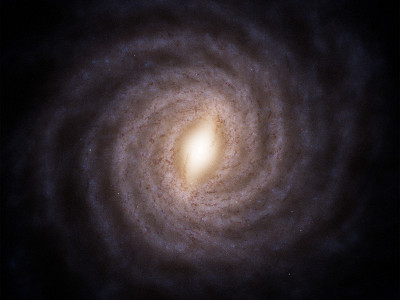 Abbondanze chimiche stellari tracciano la struttura a spirale interna della Via Lattea